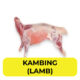 Kambing (Lamb</span>